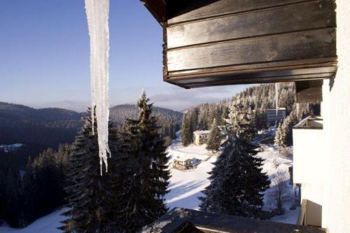 Snezhanka Apartments Tmf Pamporovo Eksteriør bilde